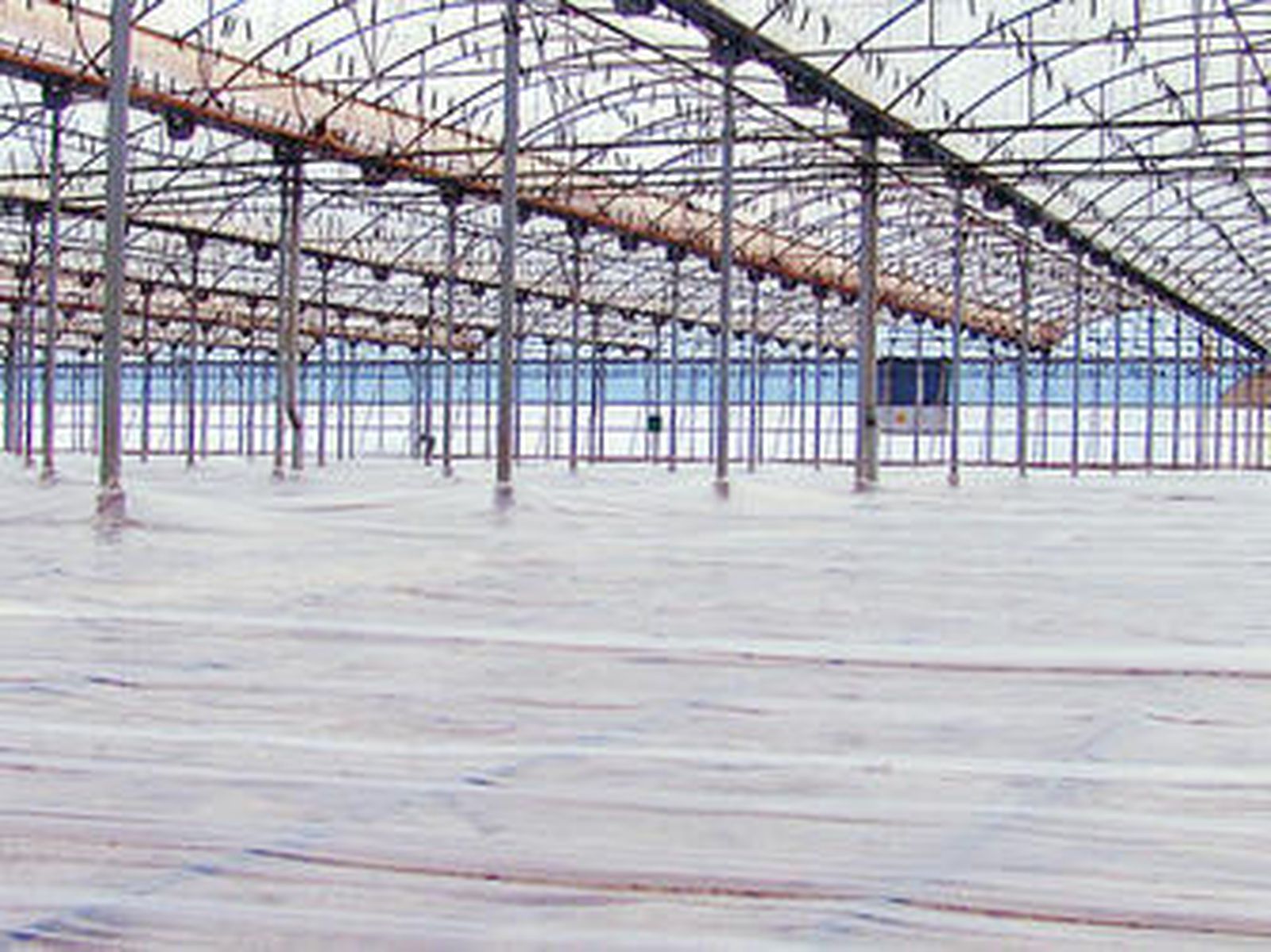 Imagen de un invernadero desinfectando el suelo.