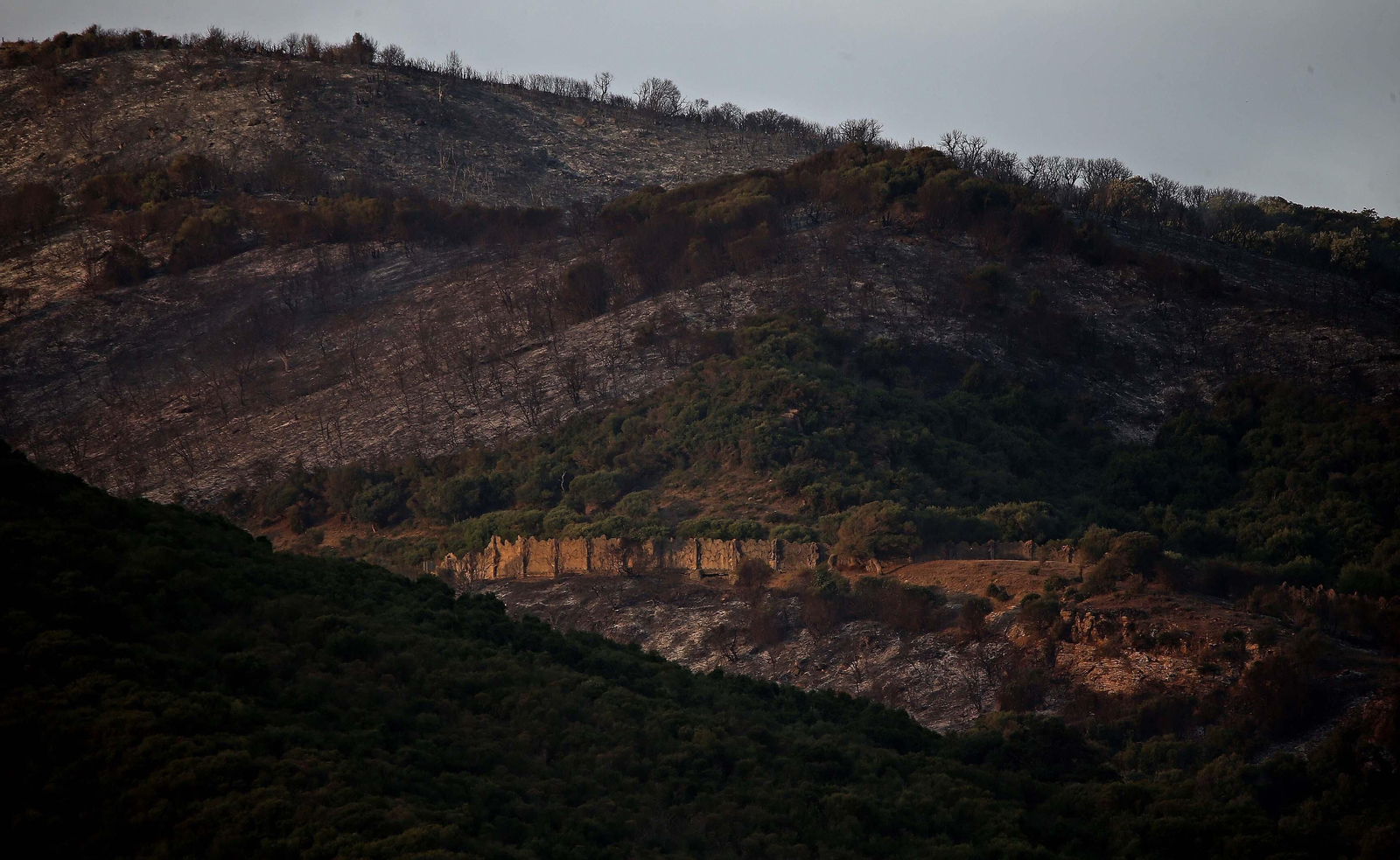 El incendio forestal  de Algeciras, en imágenes