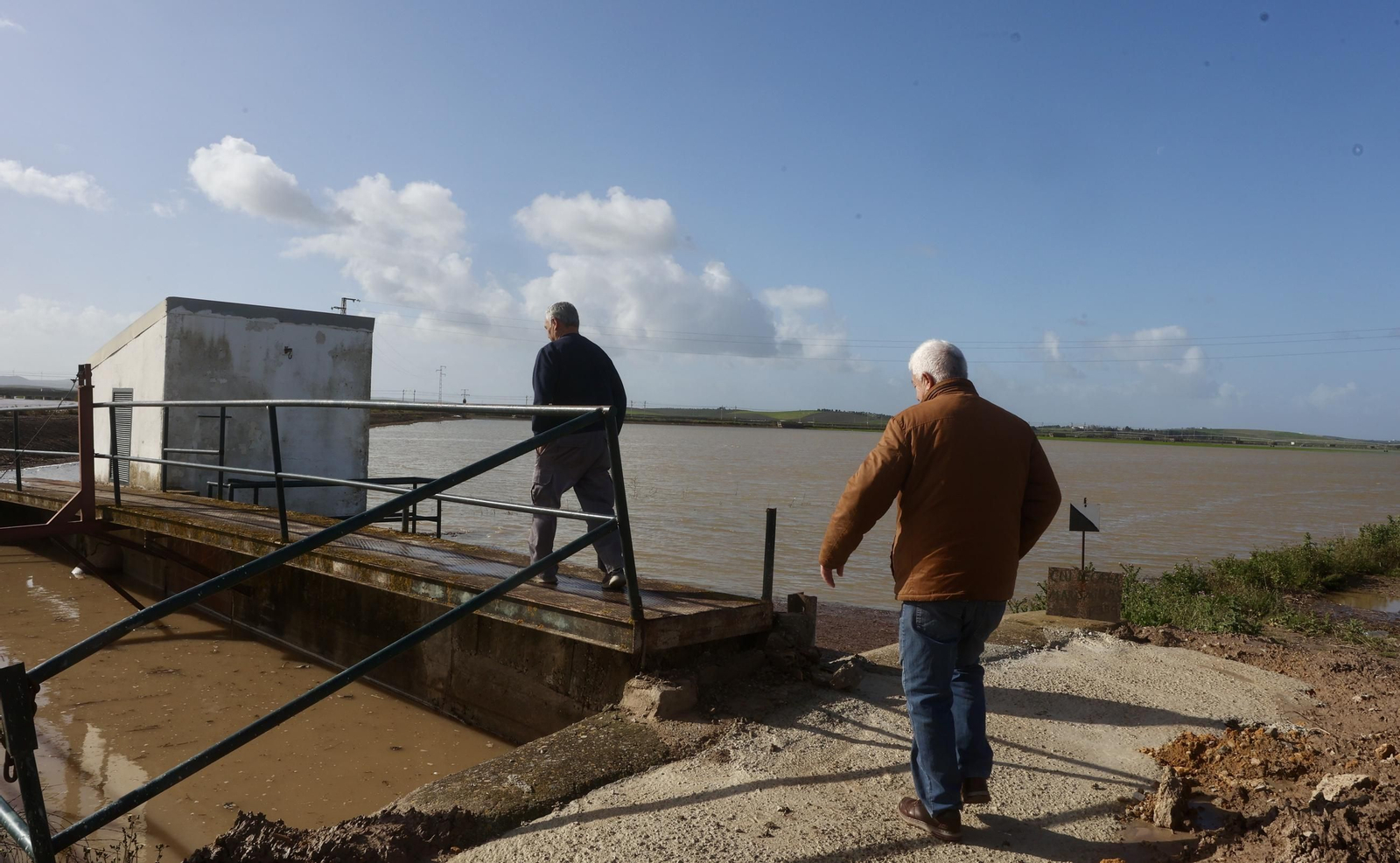 El campo en Lebrija inundado tras las lluvias