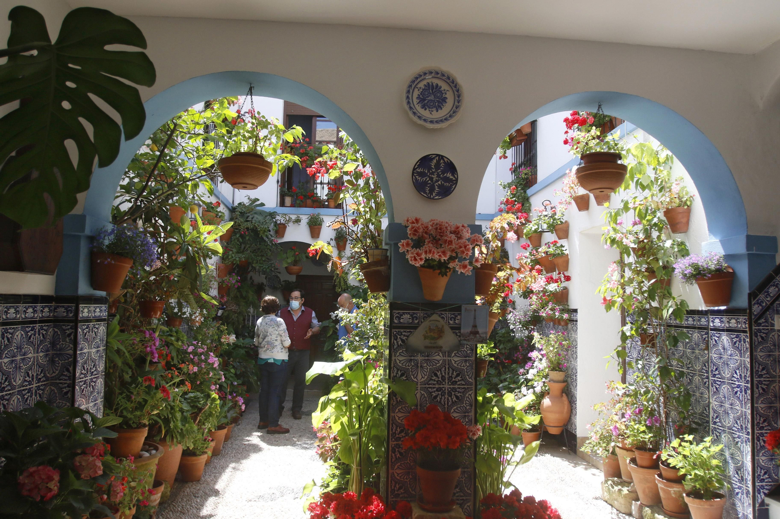 Ruta Regina - Realejo de los Patios de Córdoba, en imágenes