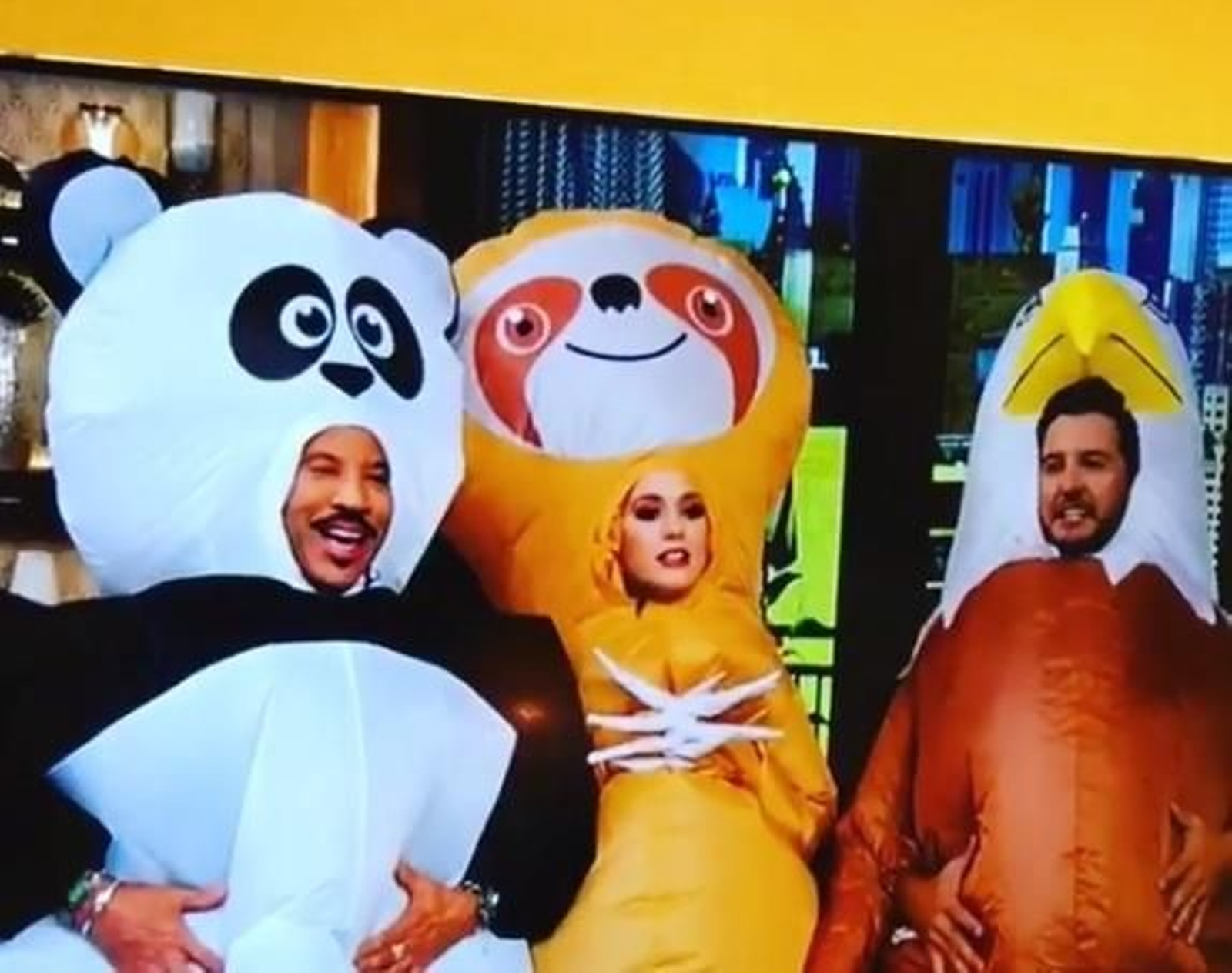 Katy Perry apareció en televisión celebrando Halloween con este gracioso disfraz de perezoso.