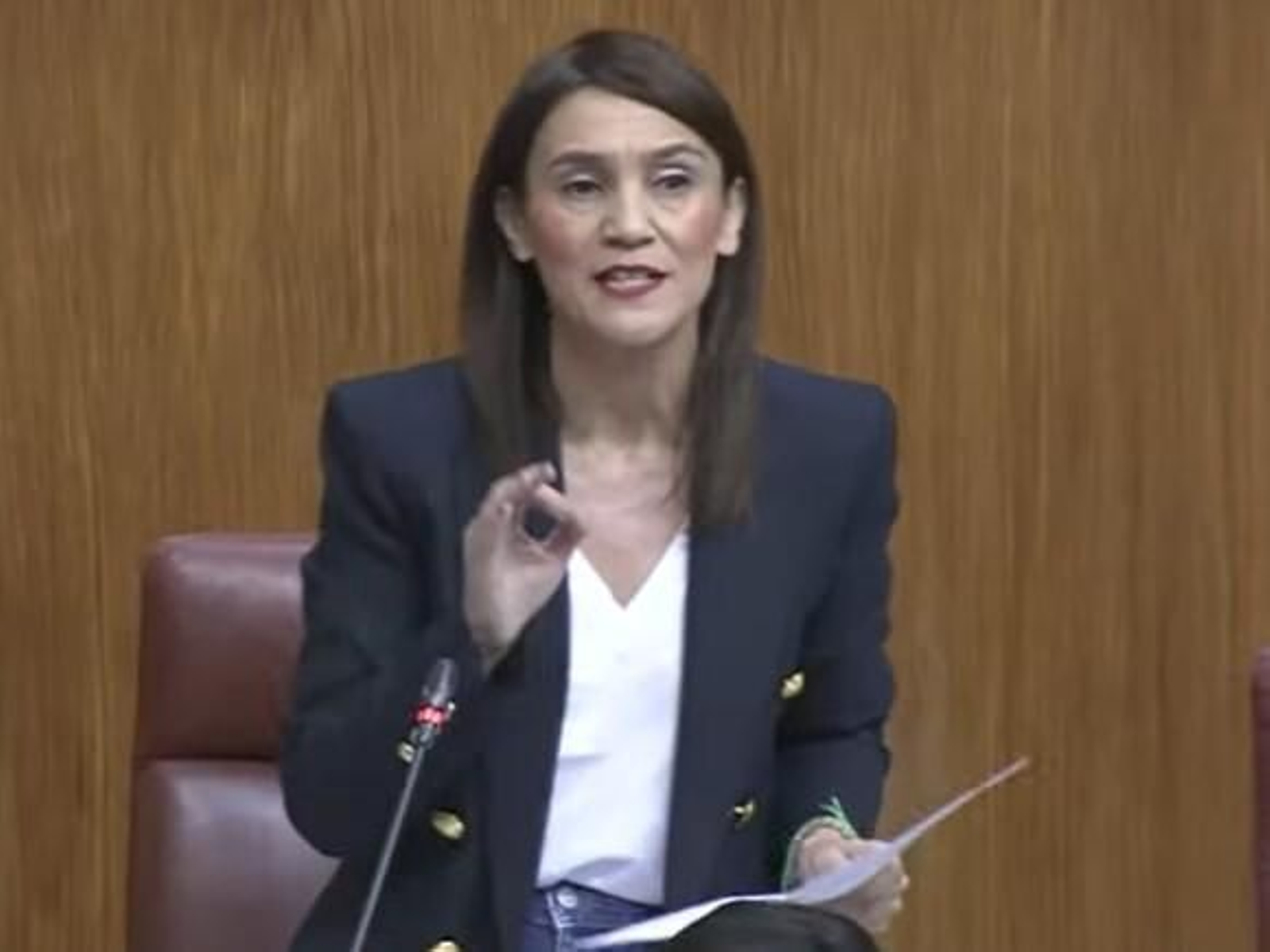 La parlamentaria andaluza Olga Manzano La parlamentaria andaluza Olga Manzano