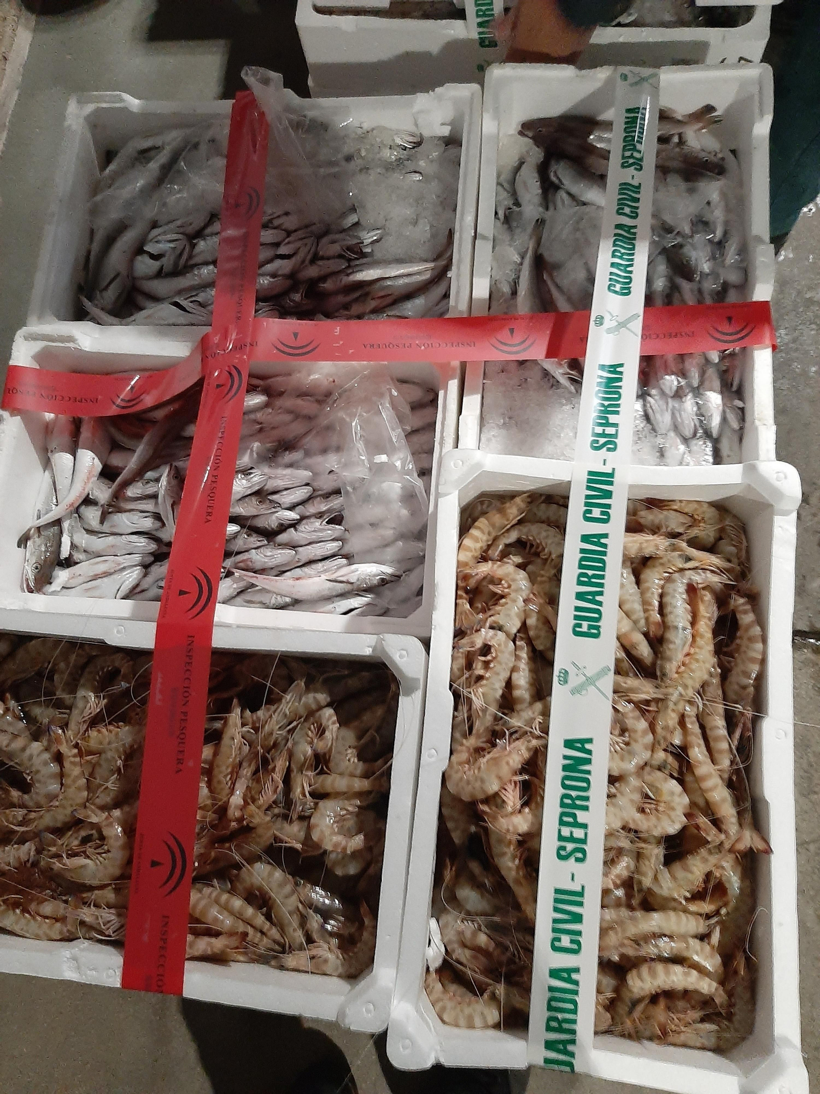 Pescado decomisado por el Seprona de la Guardia Civil.