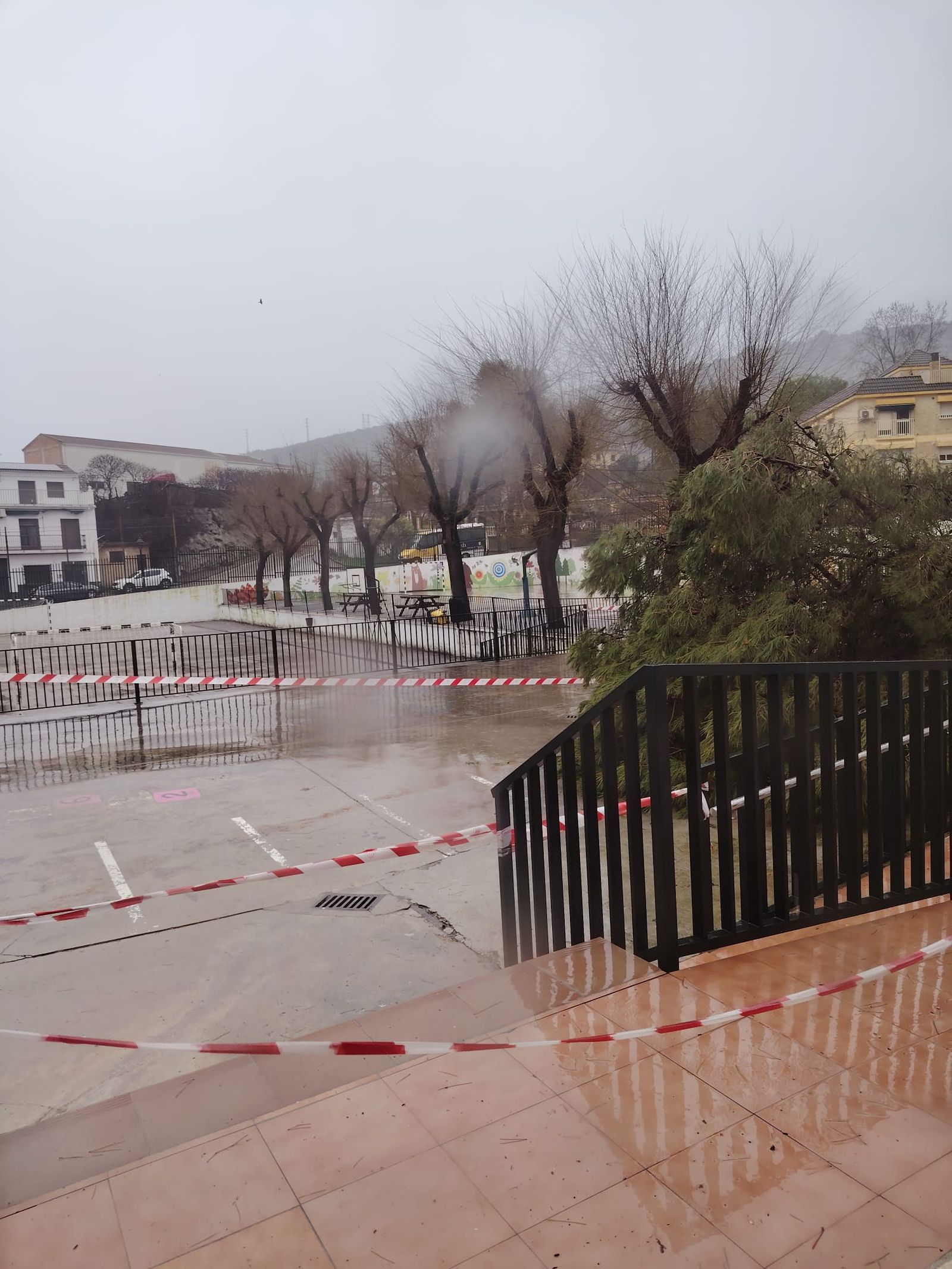 Colegio Ángel Carrillo de Priego