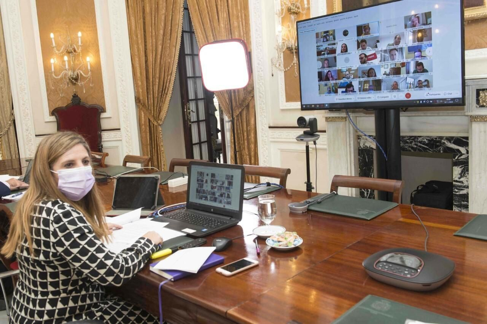 Irene García preside el pleno telemático.