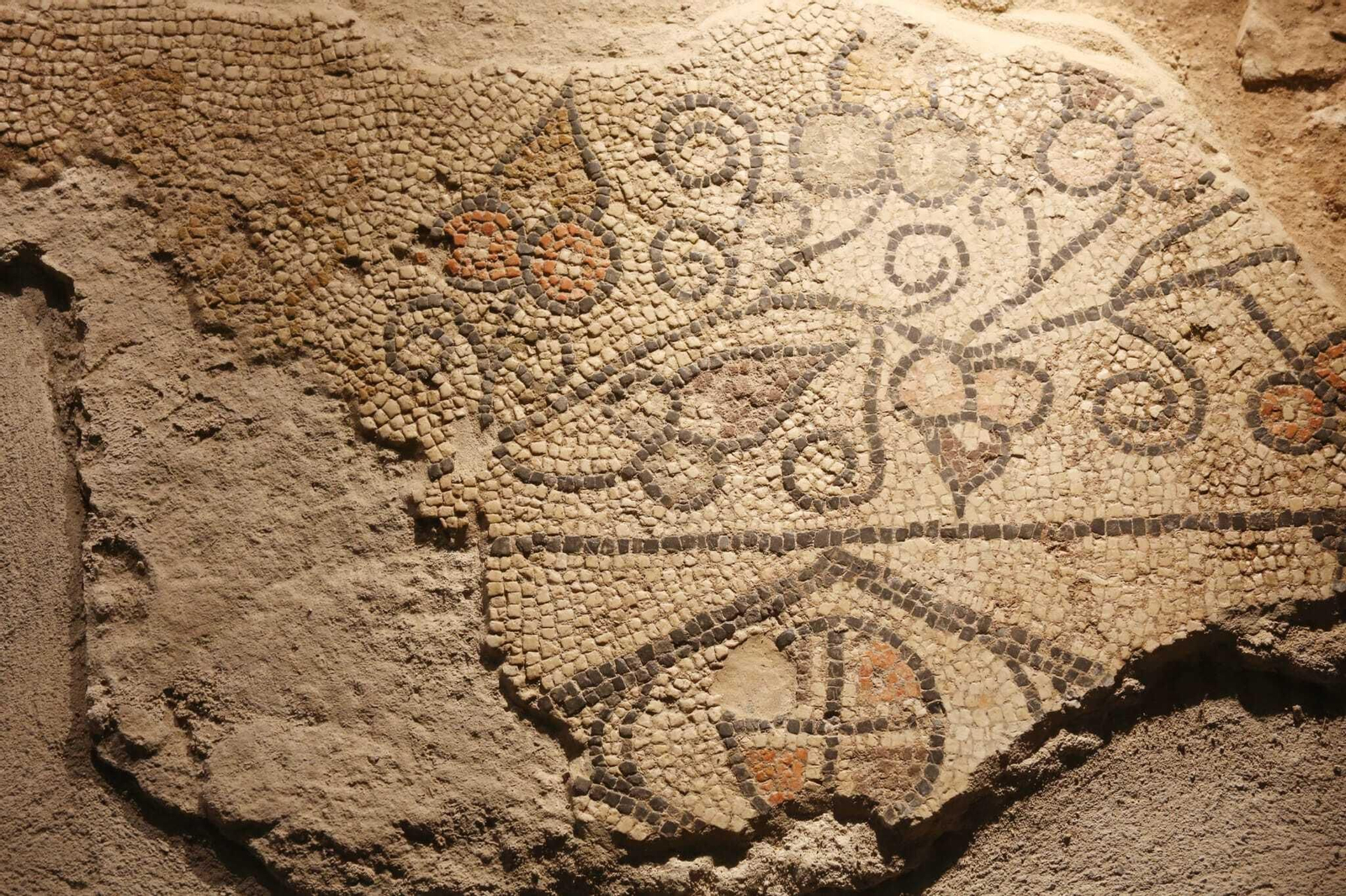 Antíopa, una de las villas romanas mejor conservadas de España, en fotos