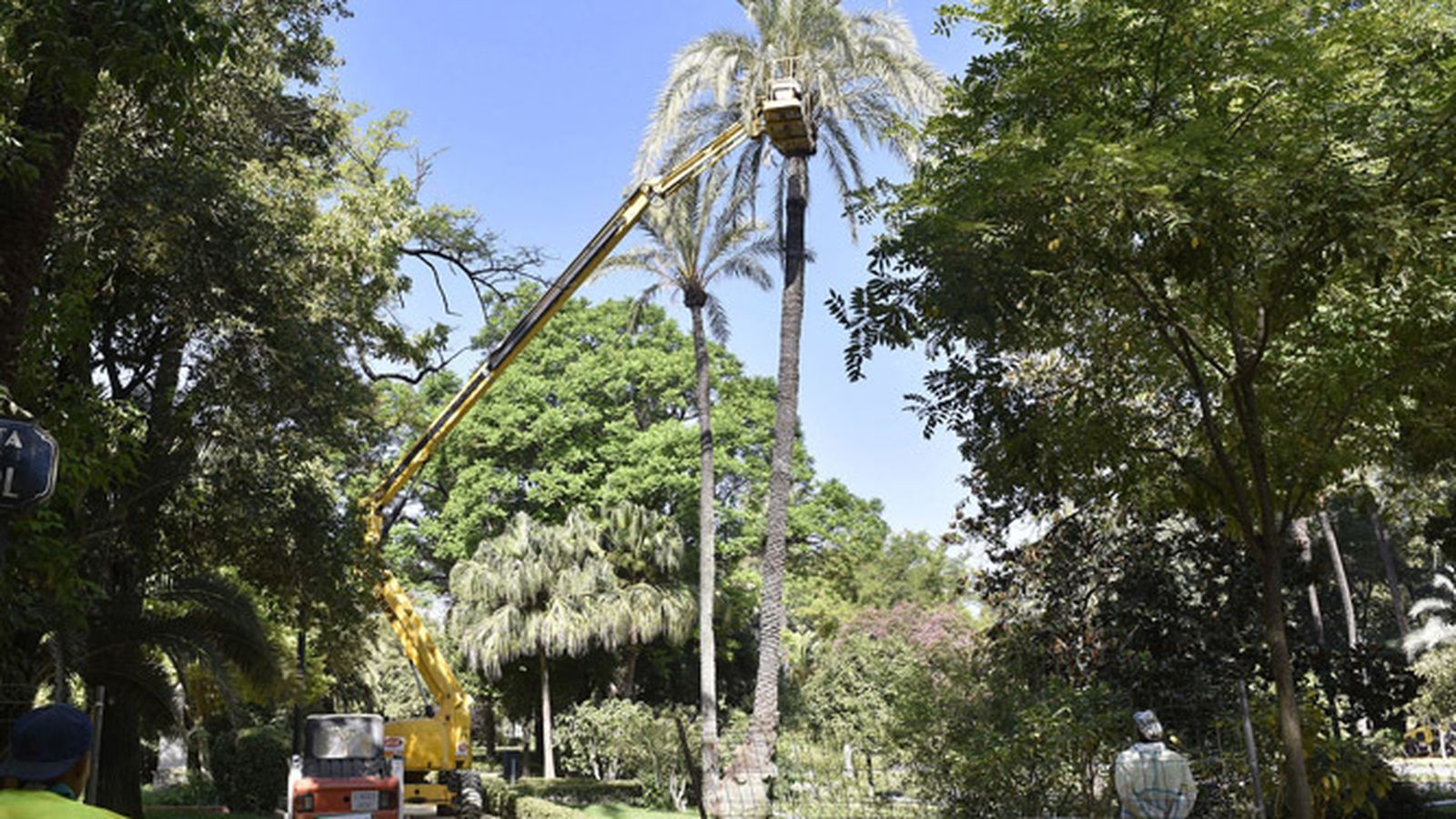 Labores de mantenimiento en el Parque de María Luisa