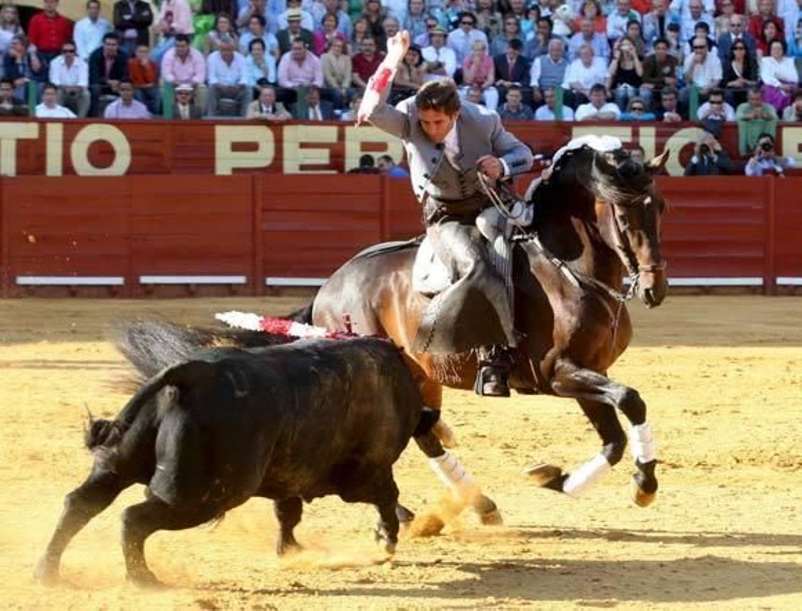 Duelo en la cumbre del arte ecuestre