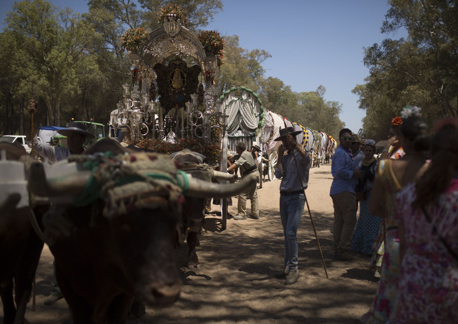 El paso de hermandades del Rocío por la Raya Real