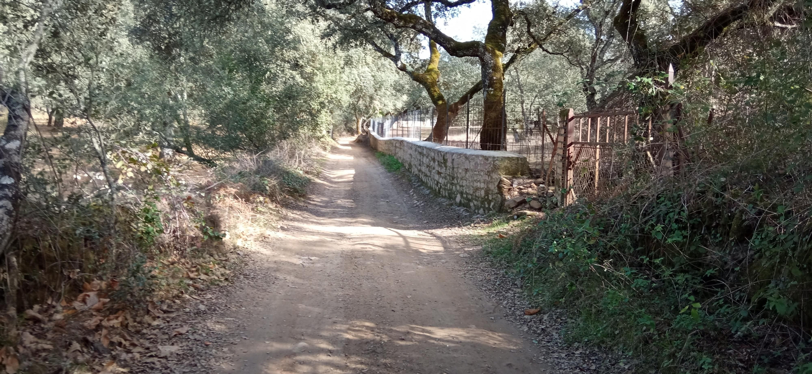 Las imágenes de la ruta de la Dehesa de Valdelama: De Los Marines a Fuenteheridos y vuelta