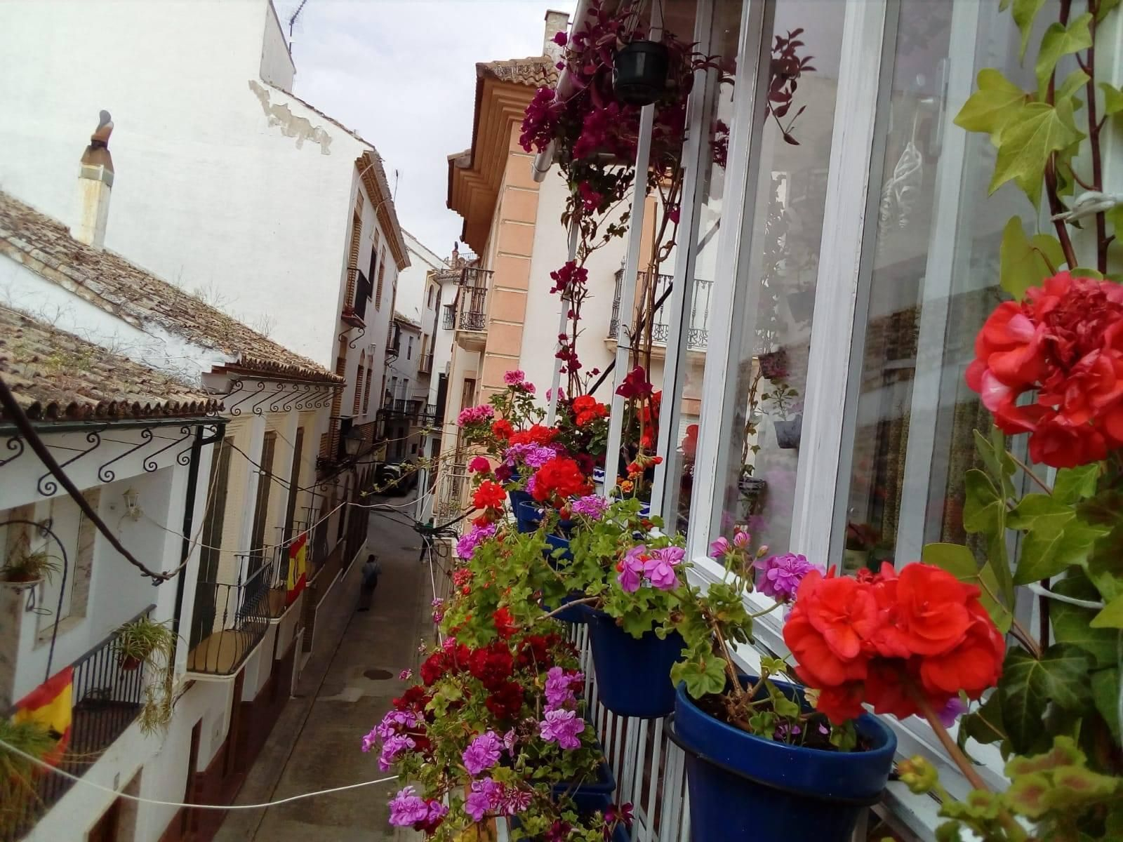 Fotografías de cómo lucen los patios, balcones y rejas de Iznájar.