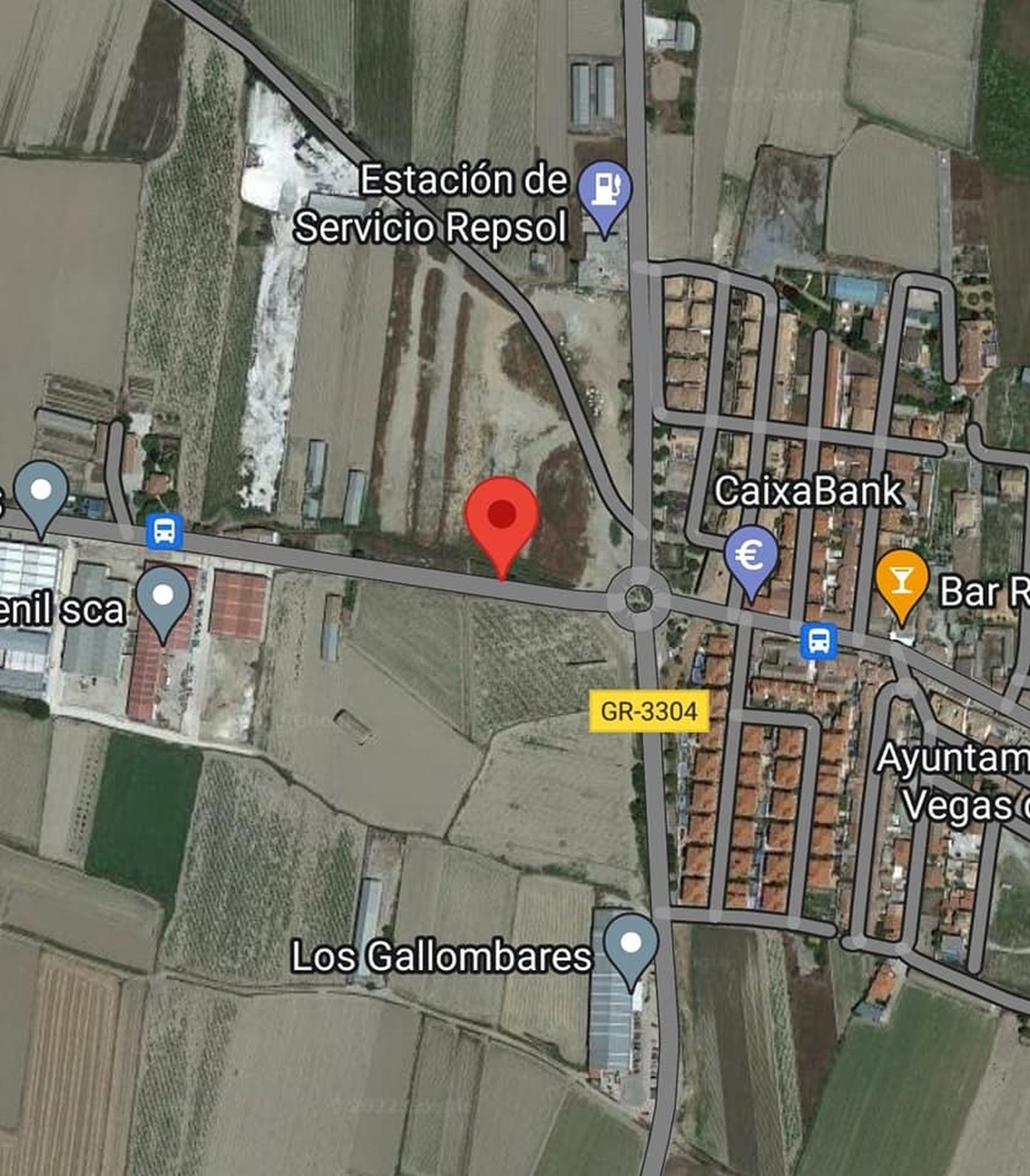 Zona donde se ubicaba dicho árbol