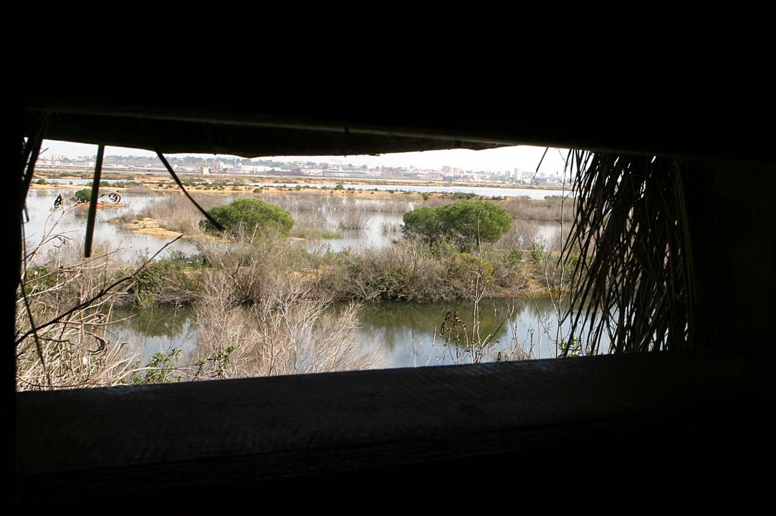 Imágenes de Marismas del Odiel, un Paraje Natural en la confluencia de las desembocaduras de los ríos Tinto y Odiel