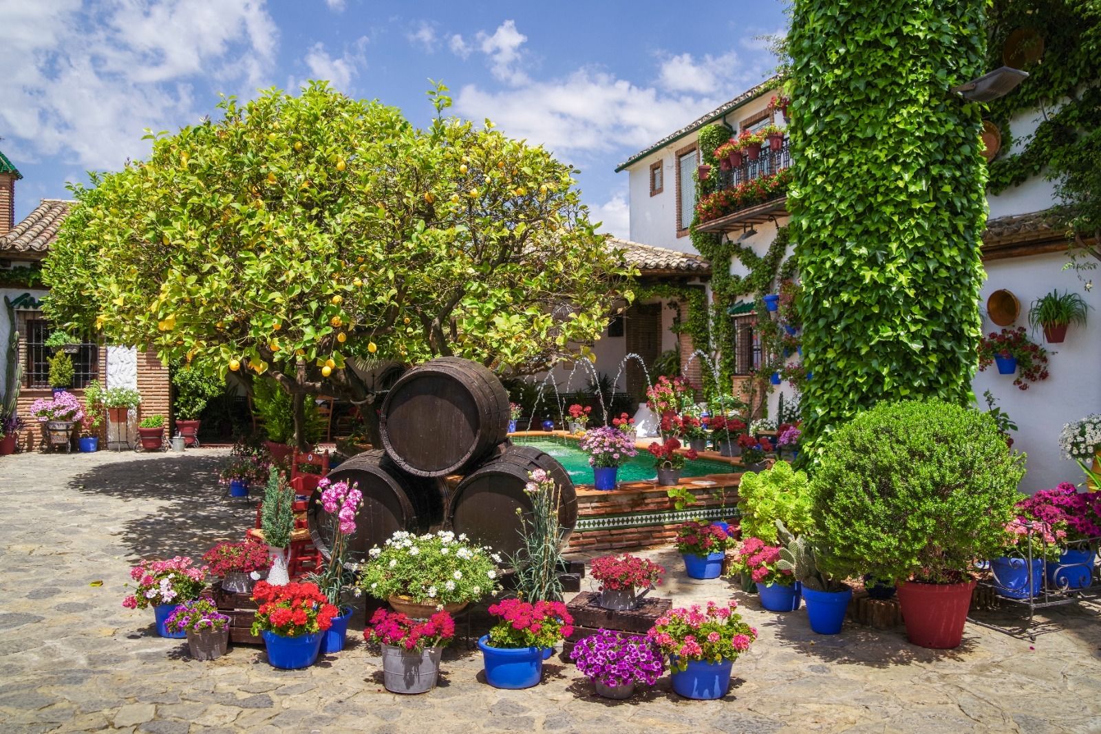 Patio de la calle Empresaria Teresa Córdoba, en Rute.