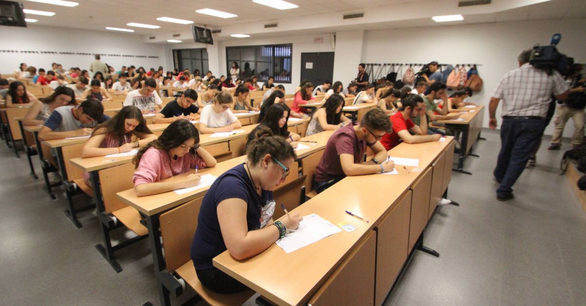 Estos son los grados de la Universidad de Jaén que más han variado sus ...