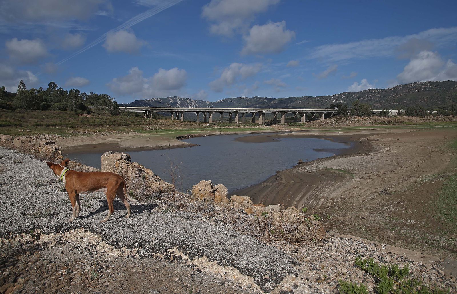 Imágenes del pantano de Charco Redondo en Los Barrios