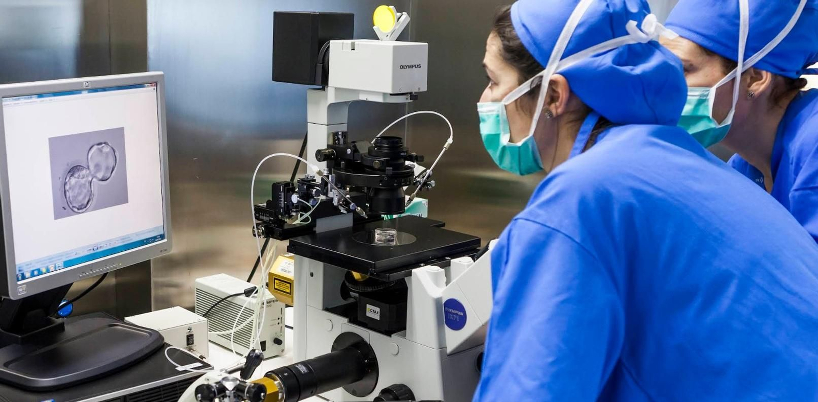 El estudio analizó el potencial reproductivo de embriones con aneuploidías segmentarias. El estudio analizó el potencial reproductivo de embriones con aneuploidías segmentarias.