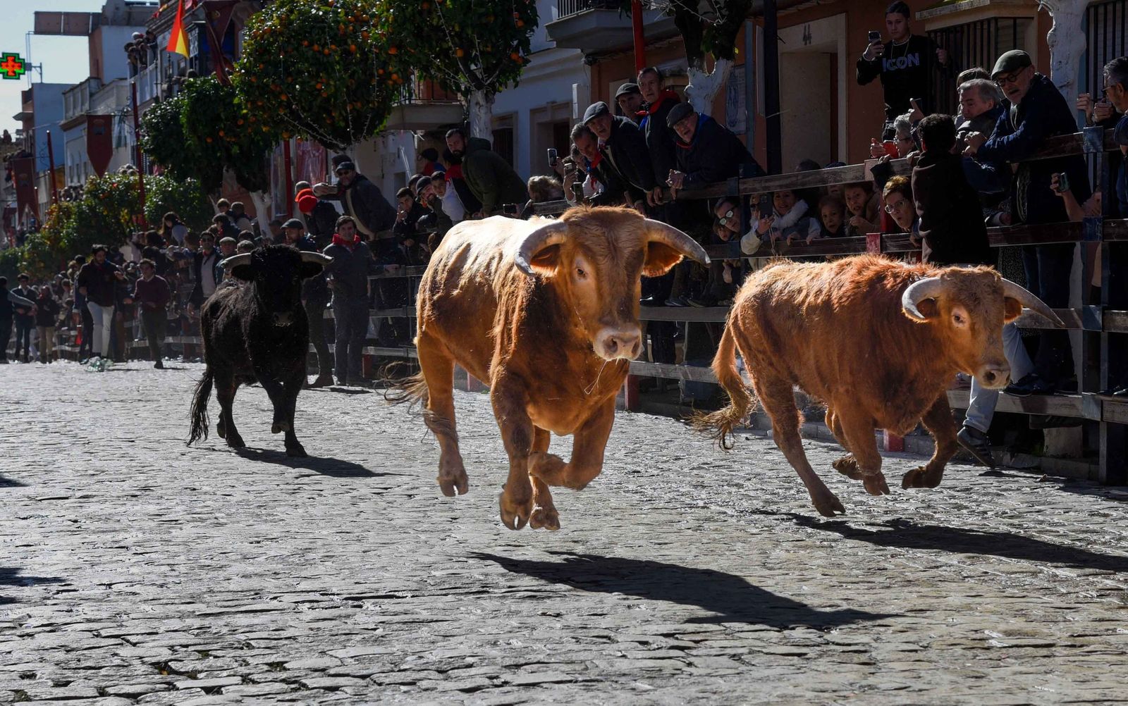 Las imágenes de los festejos de San Sebastián en La Puebla del Río 2026