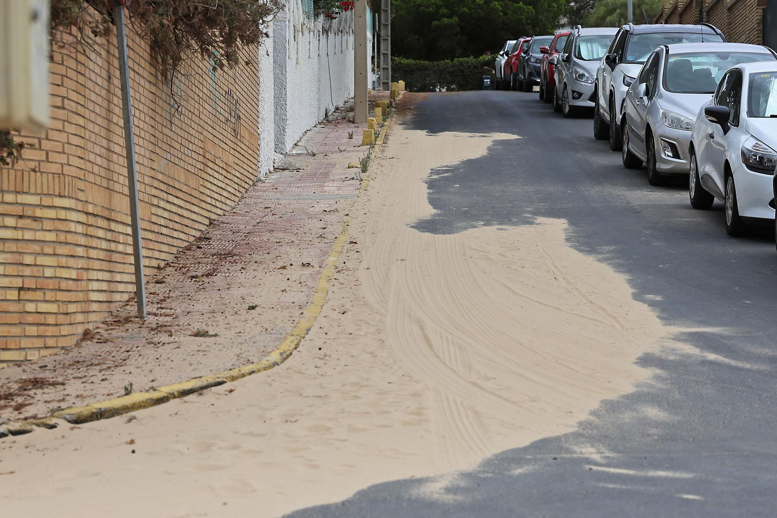 Mañanas nubladas de paseos por las playas de Huelva