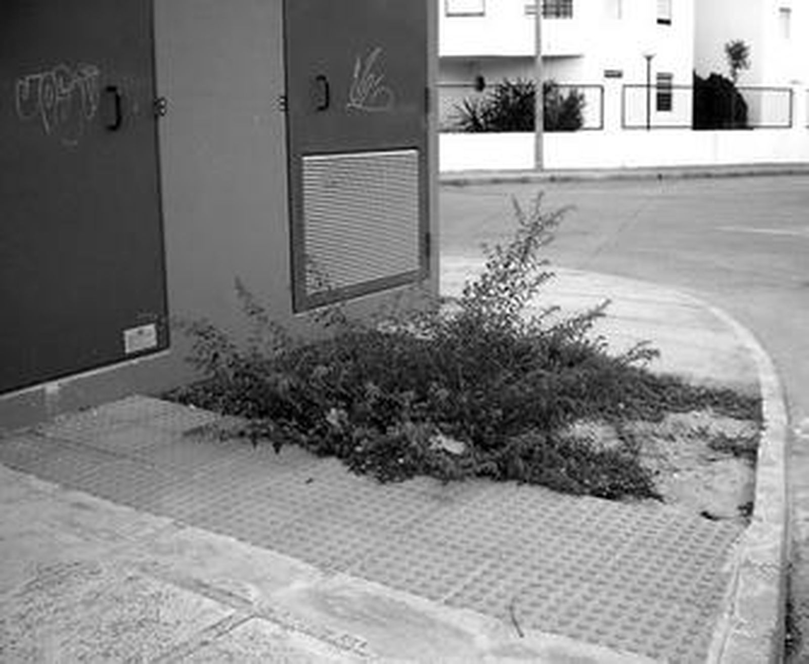 El Naranjal, sumido en el abandono