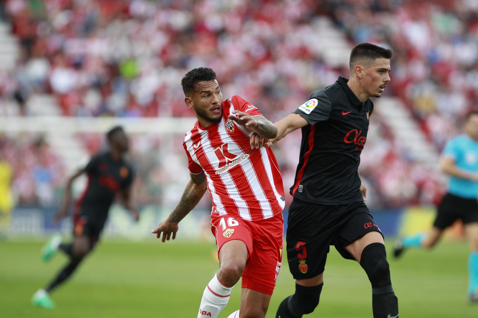 Imágenes del partido U.D. Almería-R.C.D. Mallorca