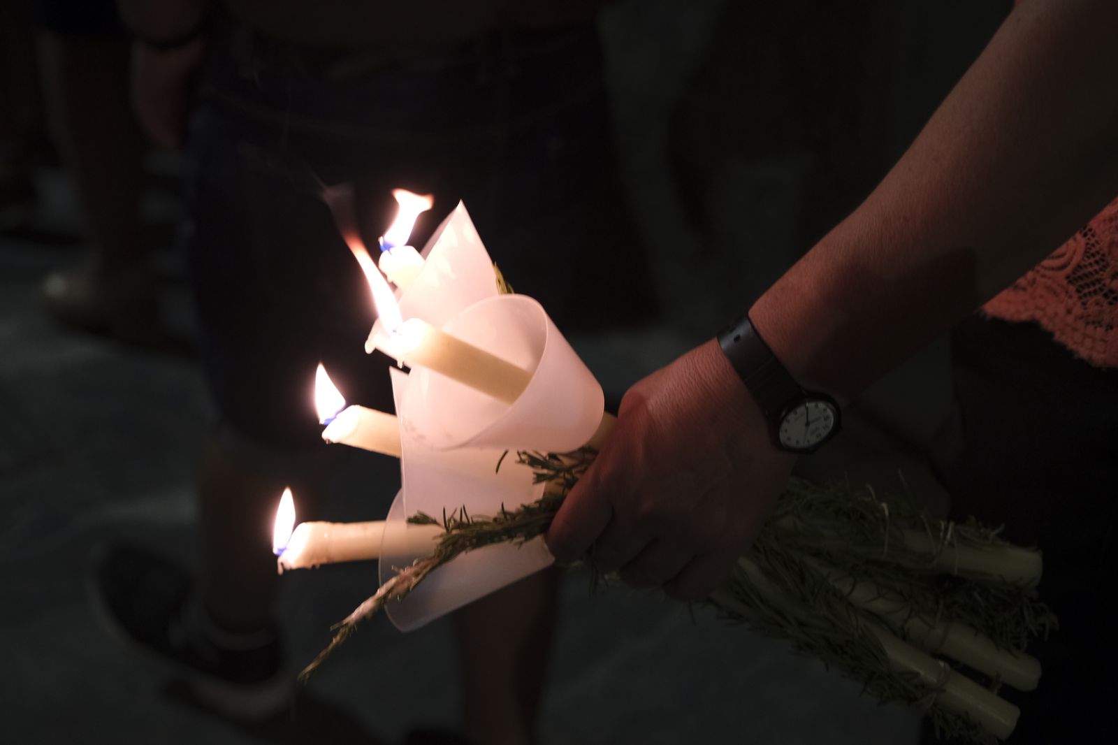 Fotogalería Procesión Virgen de Gádor Coronada. Berja.