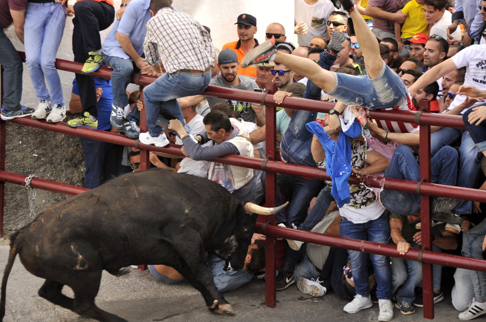 'Portero' embiste la barrera de Romero Gago.