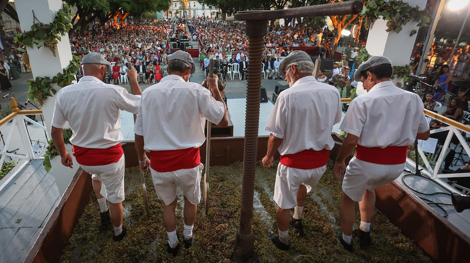Imágenes de la tradicional pisa de la uva en Jerez