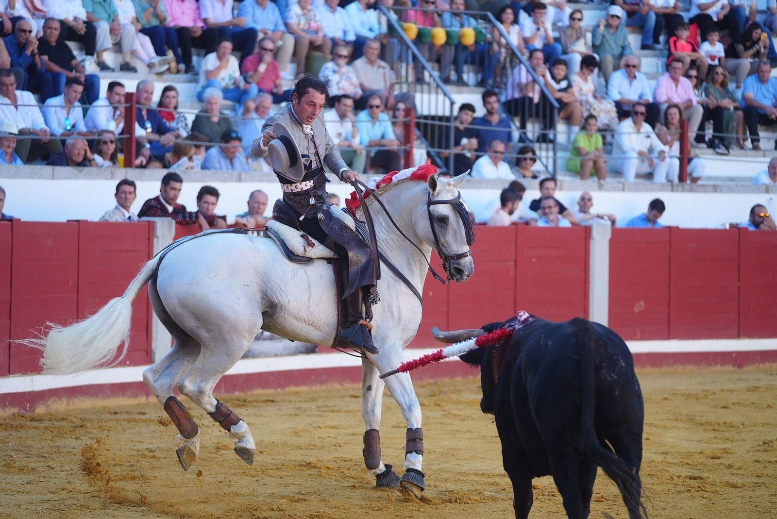 Las mejores fotos de la faena triunfal de Andy Cartagena, Leonardo y Lea Vicens en Pozoblanco Las mejores fotos de la faena triunfal de Andy Cartagena, Leonardo y Lea Vicens en Pozoblanco