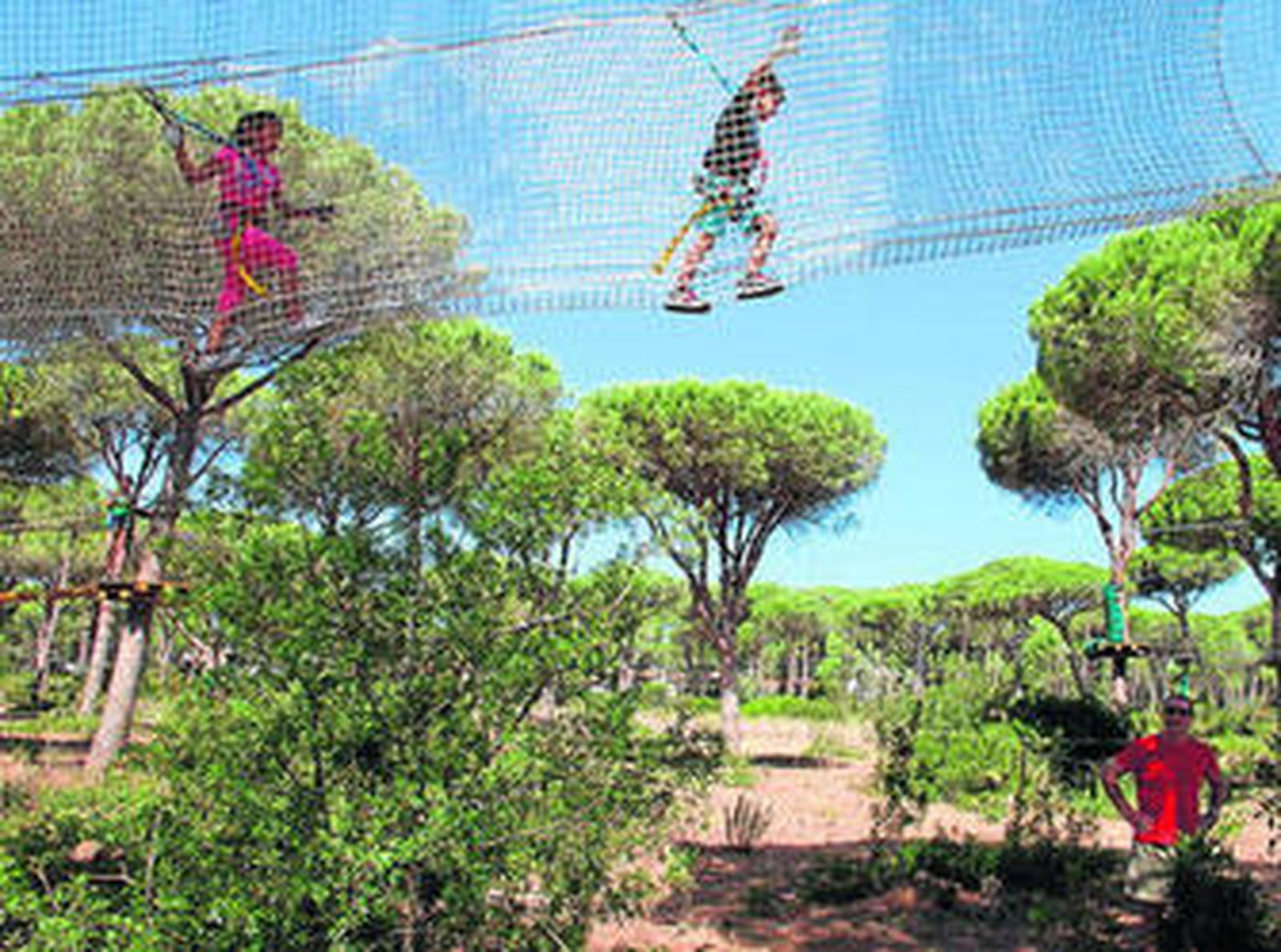 Aventuras y ocio en los árboles