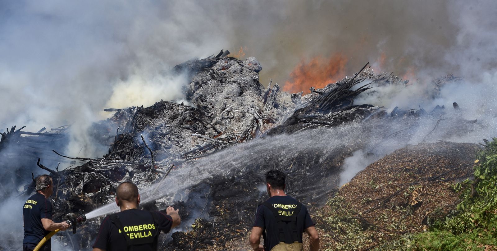 Bomberos de Sevilla extinguen un incendio en una empresa residuos vegetales