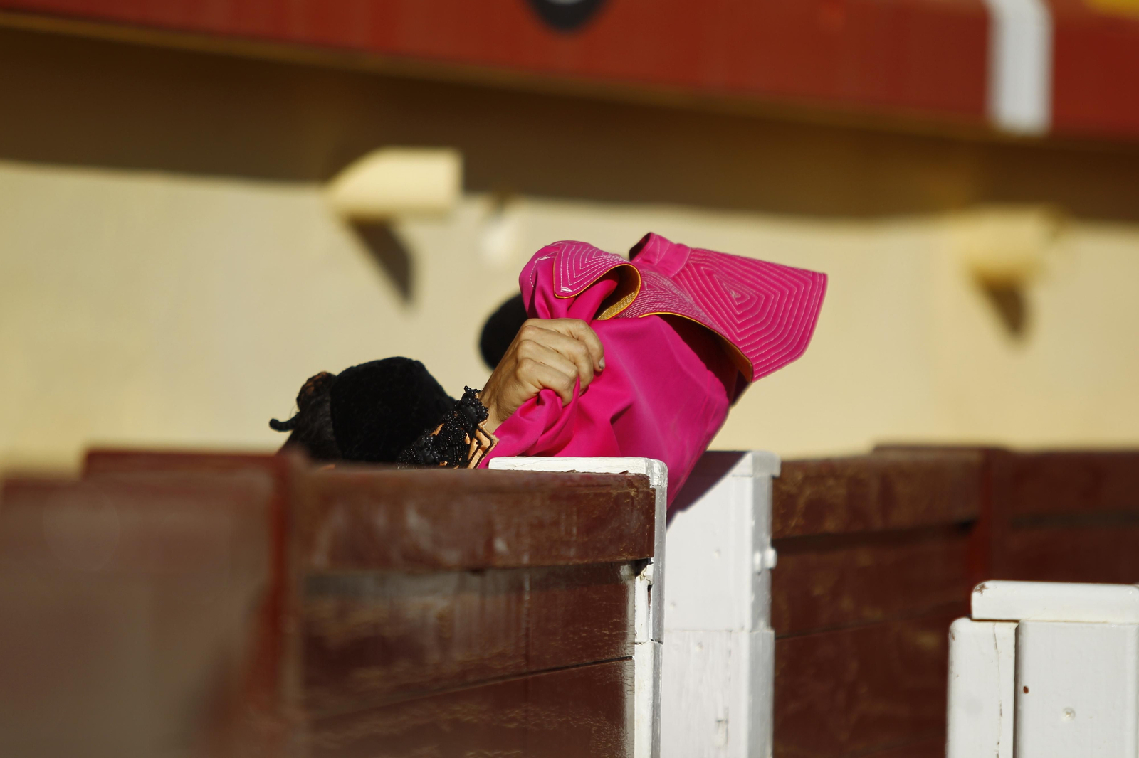 Imágenes de la corrida de Toros en Vera