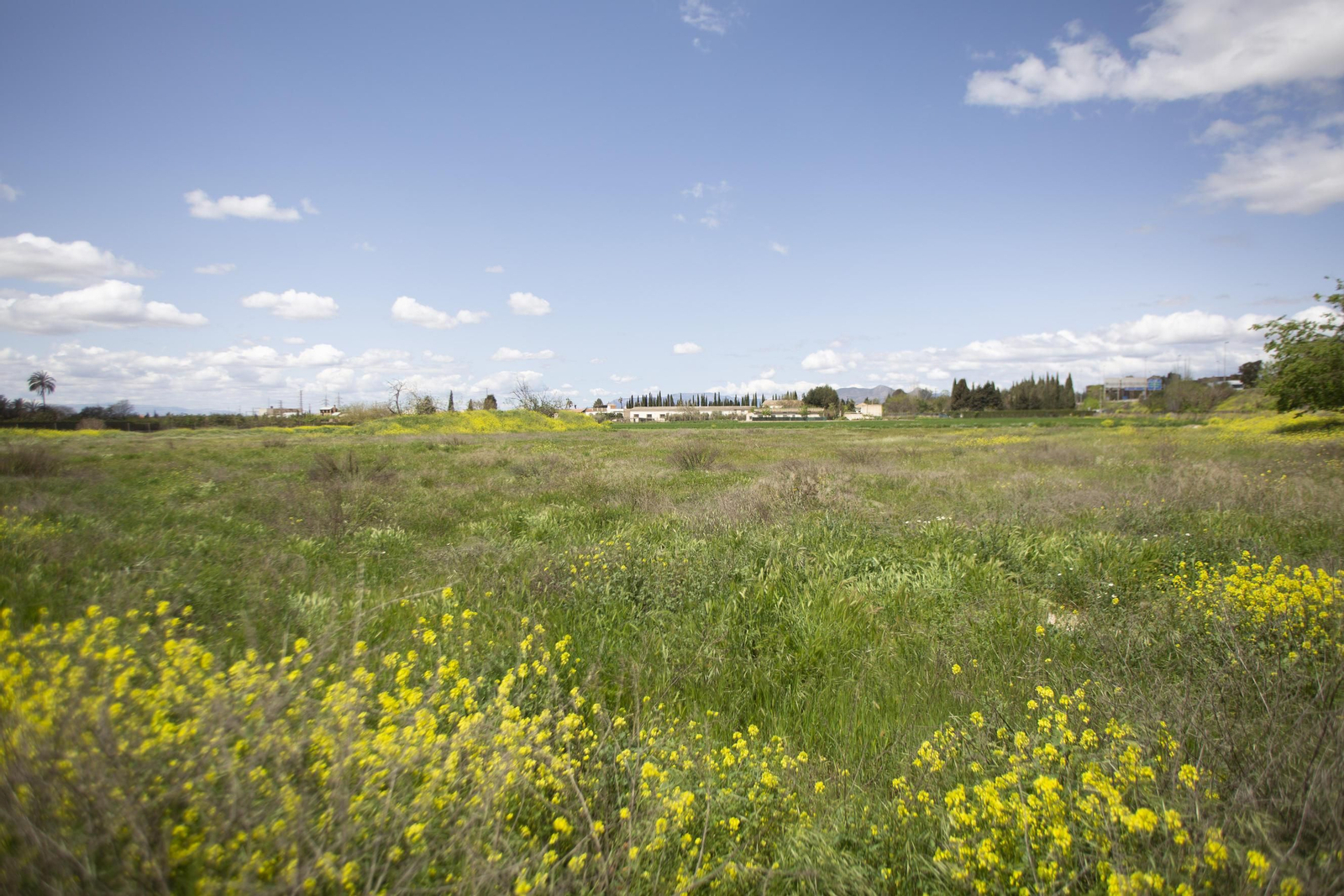 Las 'vidas' del solar de la Vega para la nueva estación de tren de Granada: décadas de proyectos sin éxito