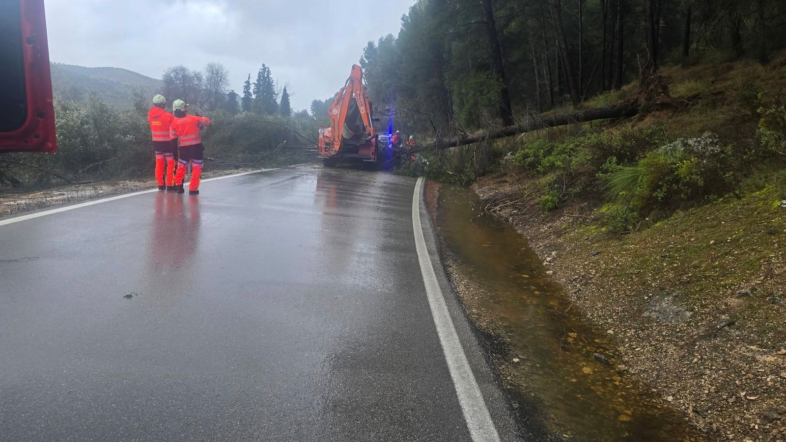 Viento, agua y destrozos: las imágenes de los efectos de la borrasca en la provincia de Granada