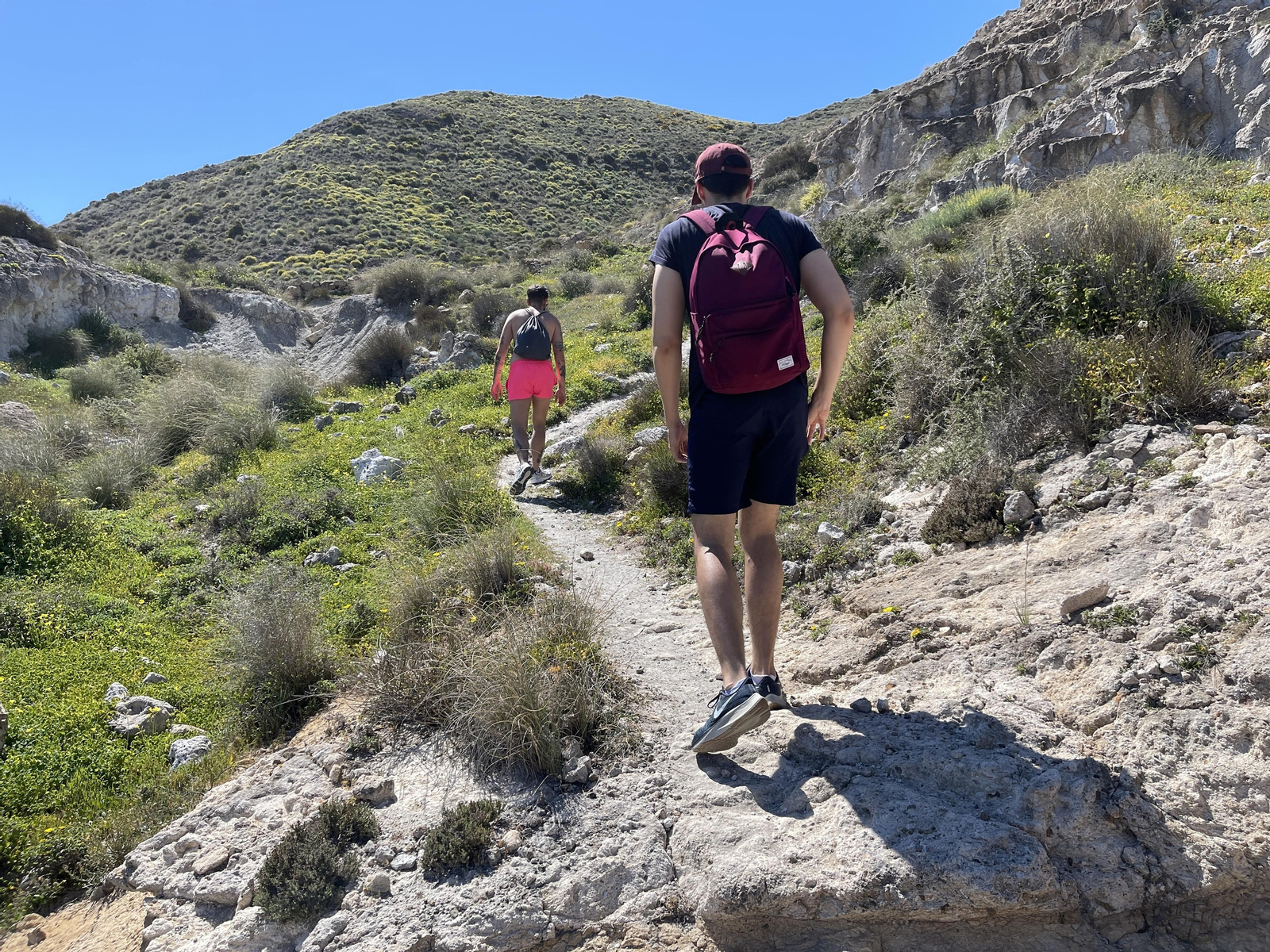Caminando entre espartos, palmitos, tomillos...