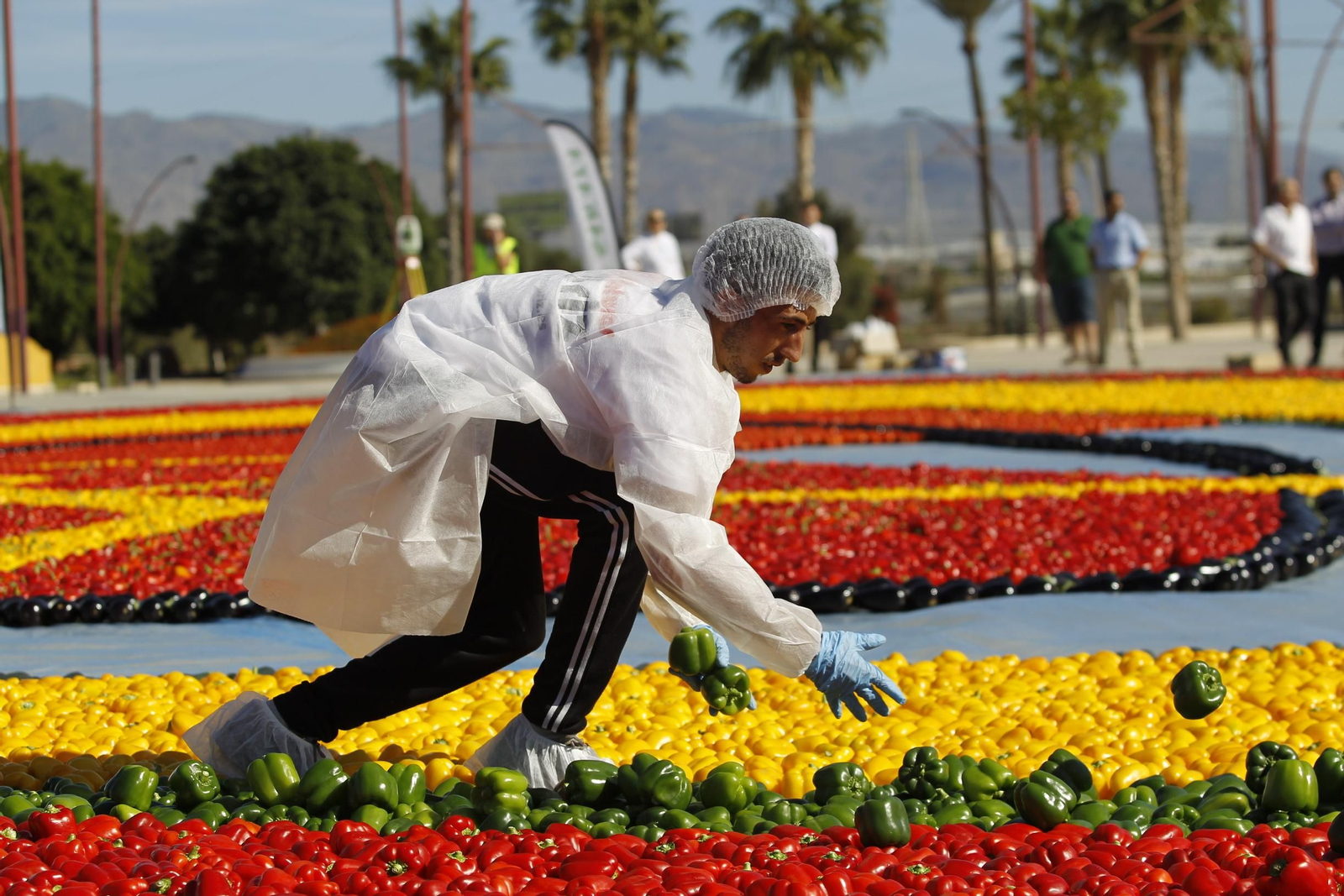 Fotogalería Récord Guinness Corazón Hortalizas Almería