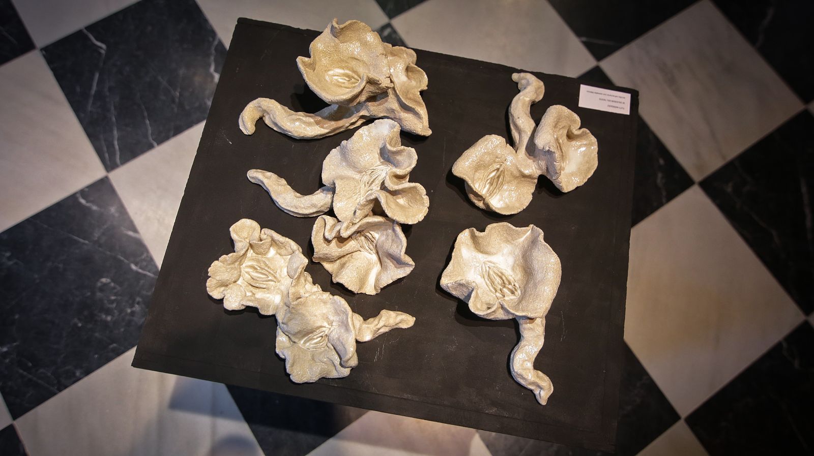 La exposición 'Cerámica Contemporánea' ya puede contemplarse en el Museo Arqueológico