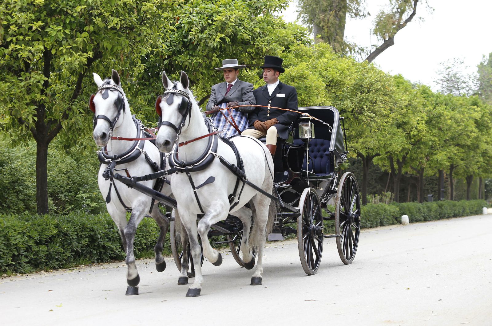 El concurso de enganches, en imágenes