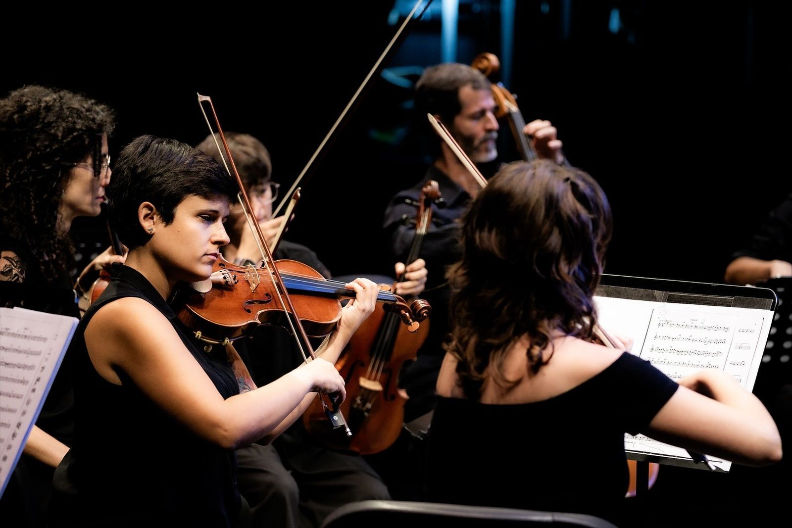 Un concierto de Thalassa Orchresta.