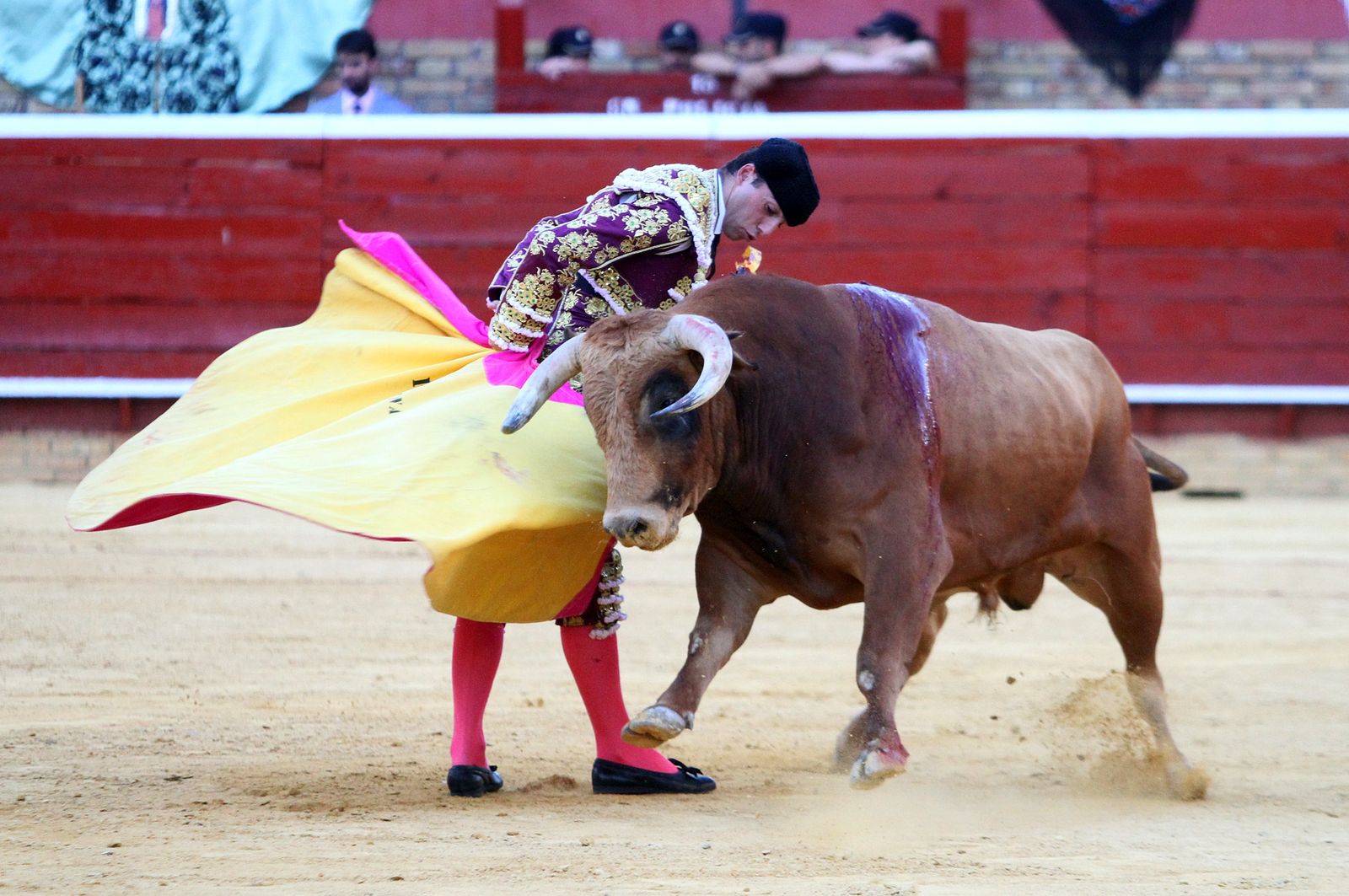 Imágenes de la Novillada de Rafael Serna, Emilio Silvera y Rodrigo Molina.