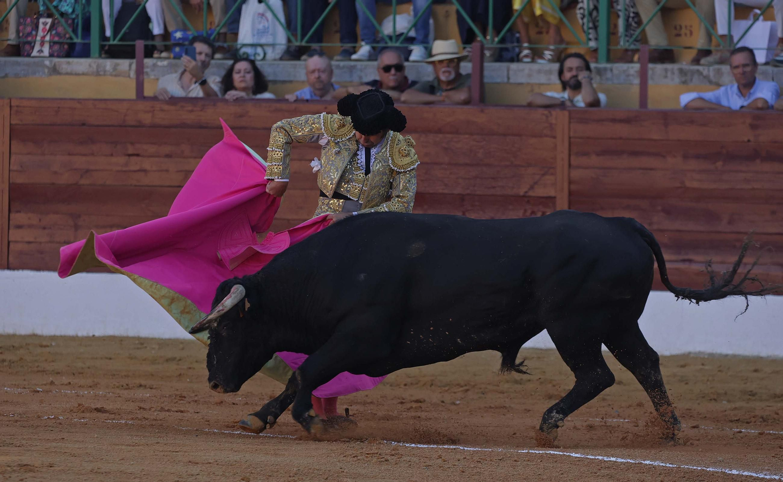Fotos de la corrida del viernes de la Feria de La Línea: Morante de la Puebla, Talavante y David de Miranda Fotos de la corrida del viernes de la Feria de La Línea: Morante de la Puebla, Talavante y David de Miranda