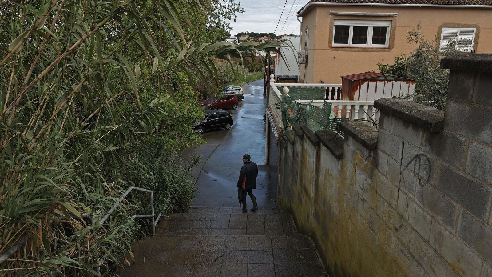 Cañaverales, encima de unas de las urbanizaciones de las Pilas.