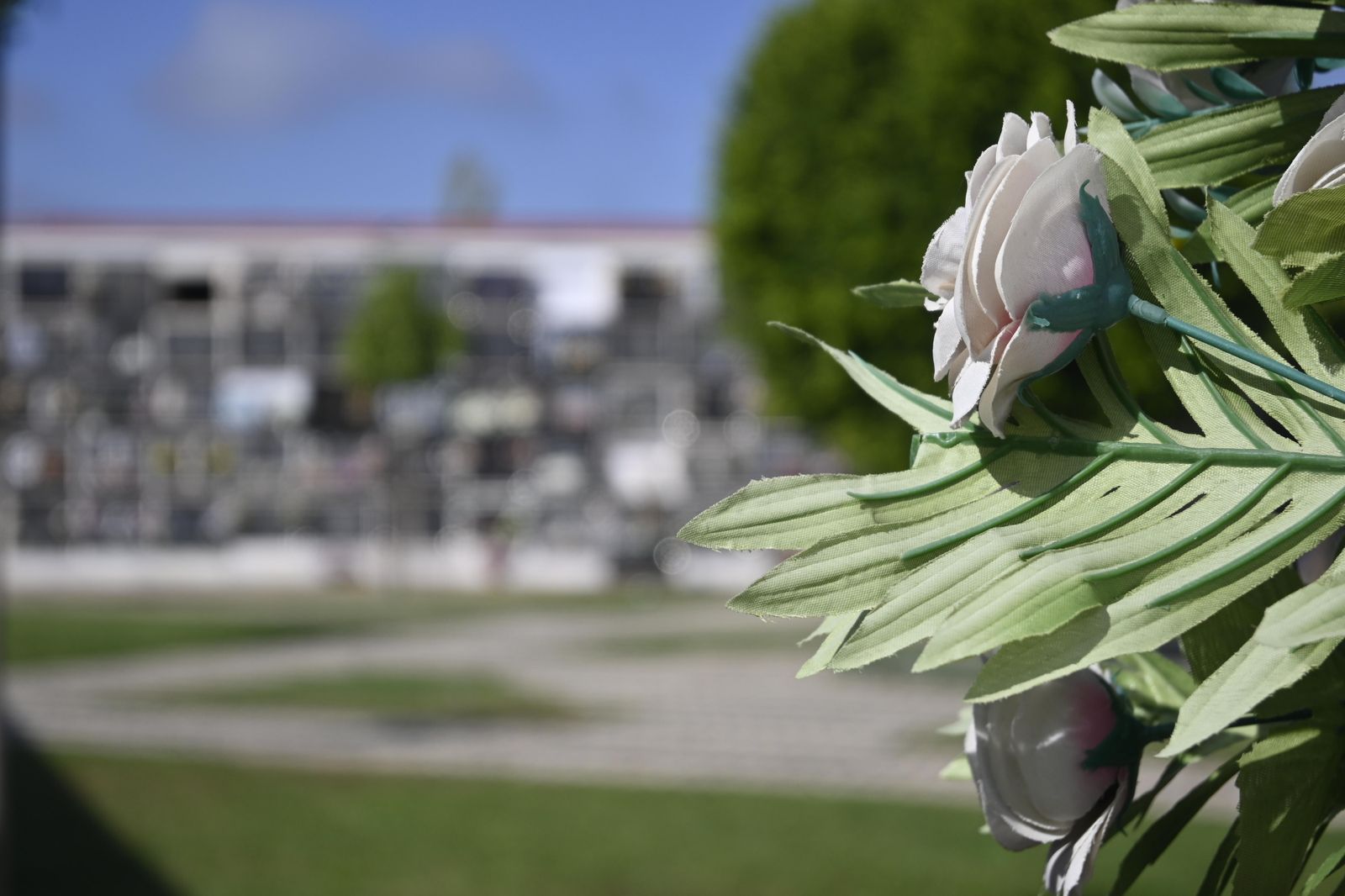 Ambiente en el cementerio de Huelva para el día de todos los Santos.