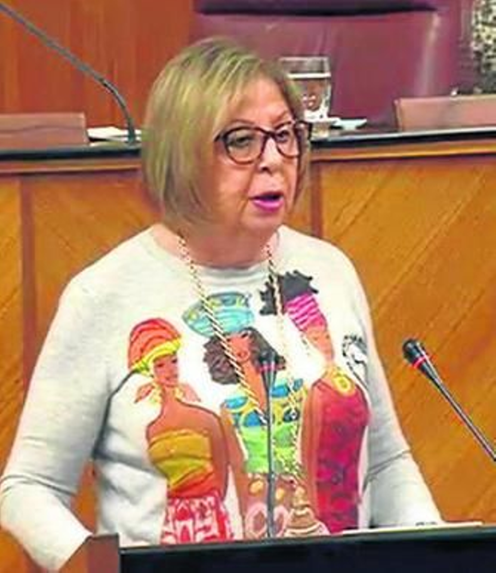 Adelaida de la Calle, consejera de Educación, ayer en el Pleno.