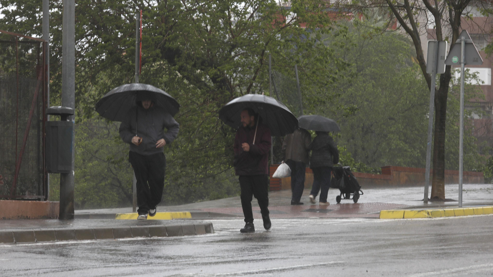 Fotos de la borrasca Nelson en el Campo de Gibraltar