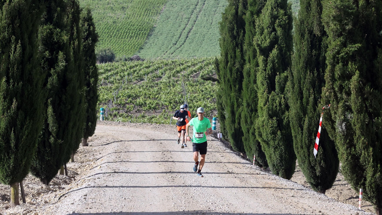 Búscate en la Sherry Maratón 2025 de Jerez (I)