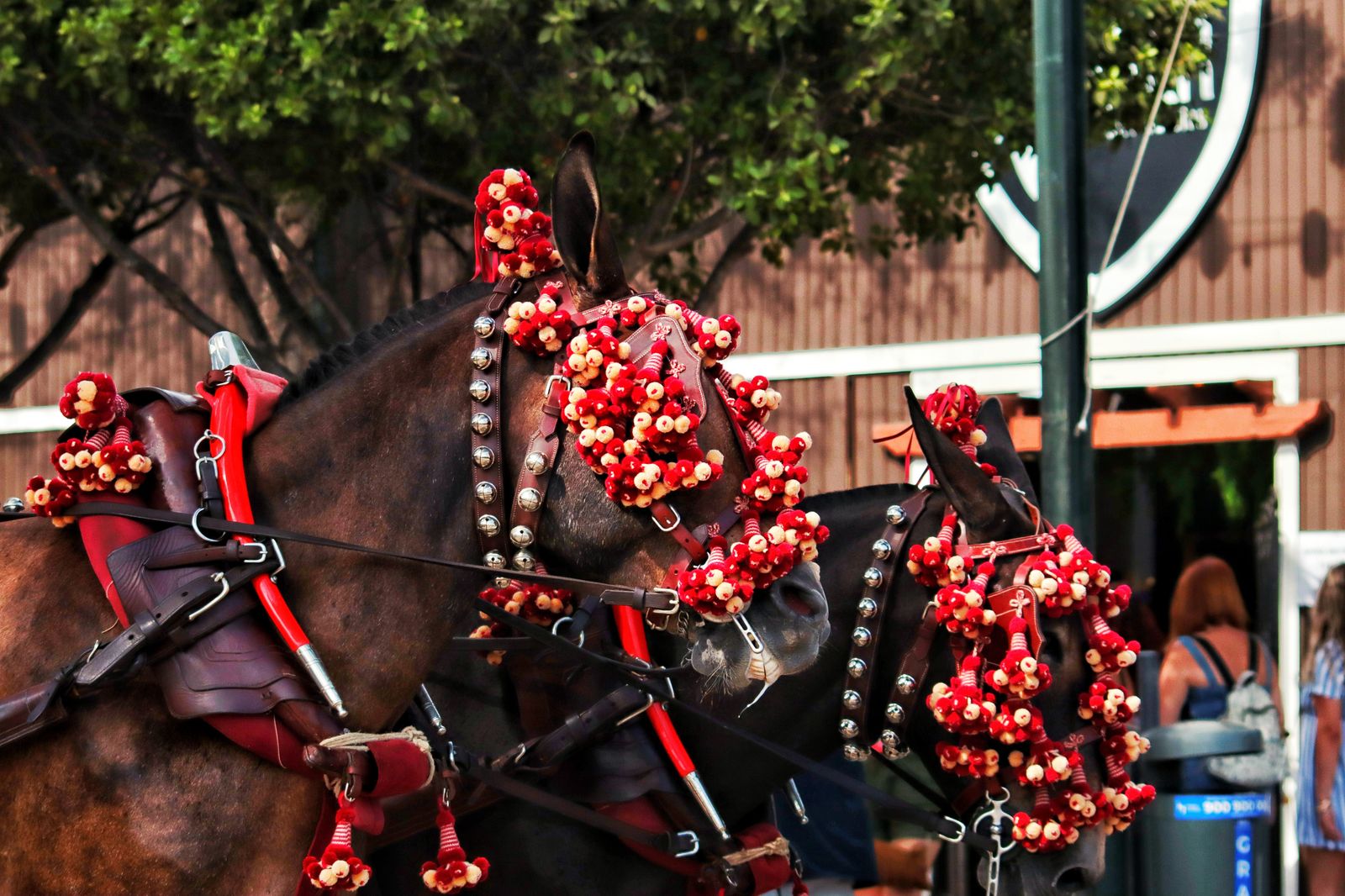 Feria de Málaga: las mejores imágenes de la fiesta en el Real este jueves