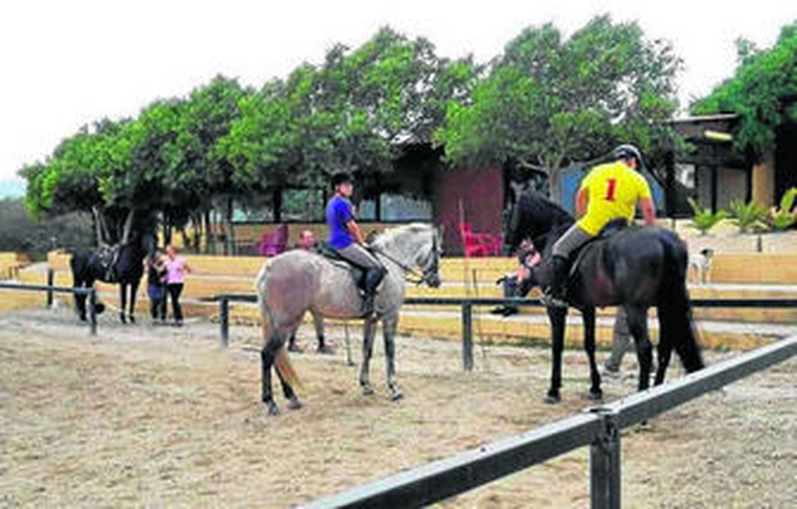 En cada sesión, los participantes daban de comer al caballo, lo peinaban y finalmente lo montaban.