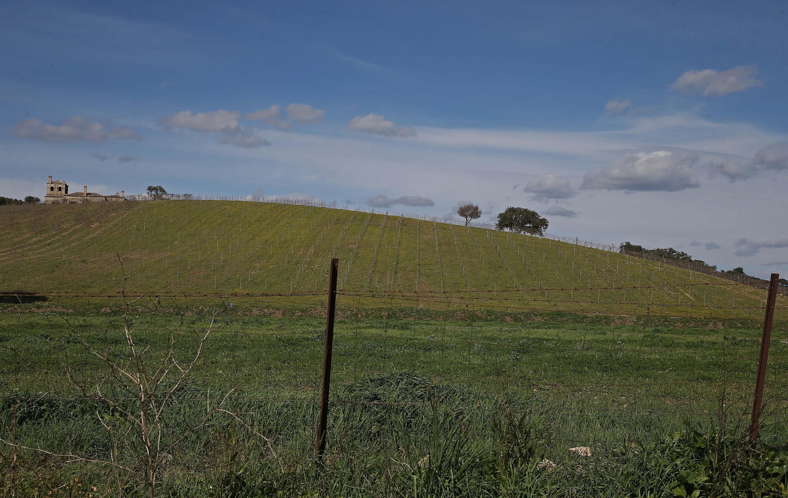 Fotos del lugar donde se produce Ribera de Hozgarganta, el primer vino del Campo de Gibraltar