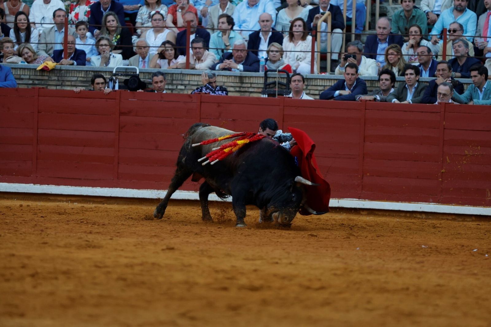 Las mejores fotos de la corrida de Morante, Ortega y Roca Rey en la Feria Taurina de Córdoba